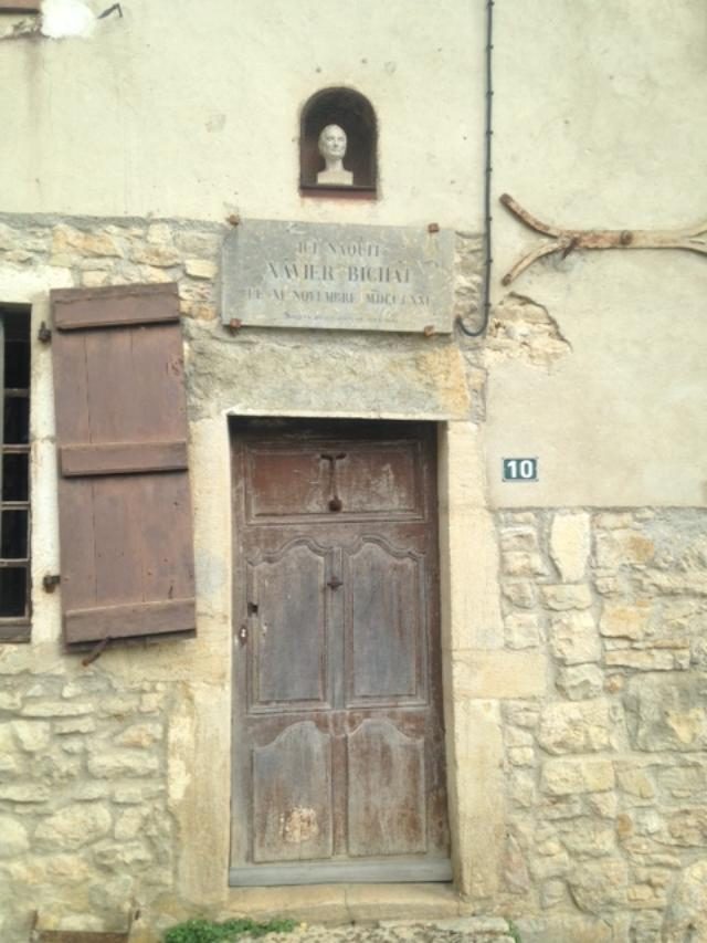 Xavier Bichat's birthplace, Thoirette by Paola Cosmacini (6).jpg